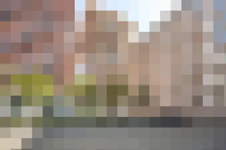 Claus Sluterweg 267 Haarlem thumbnail 37