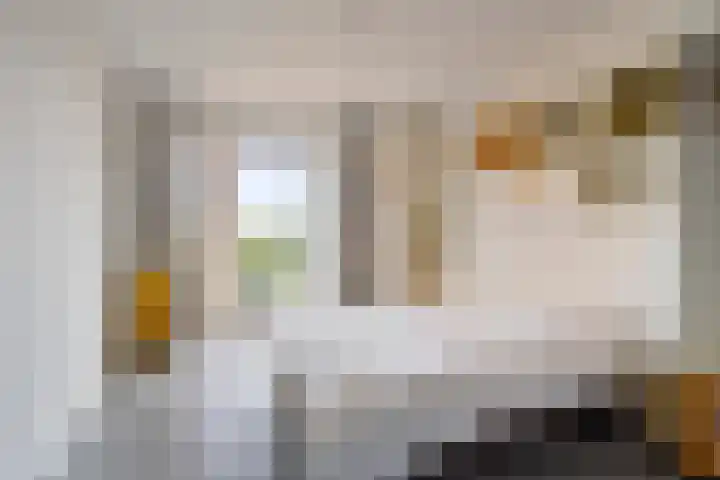 Claus Sluterweg 267 Haarlem thumbnail 4