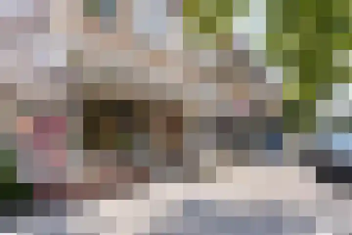 Claus Sluterweg 267 Haarlem thumbnail 41