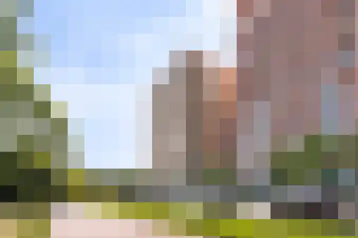 Claus Sluterweg 267 Haarlem thumbnail 46