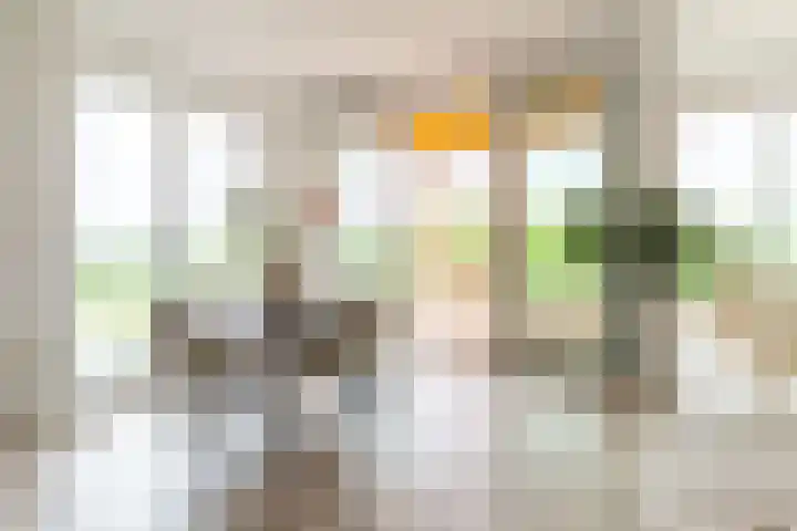 Claus Sluterweg 273 Haarlem thumbnail 10