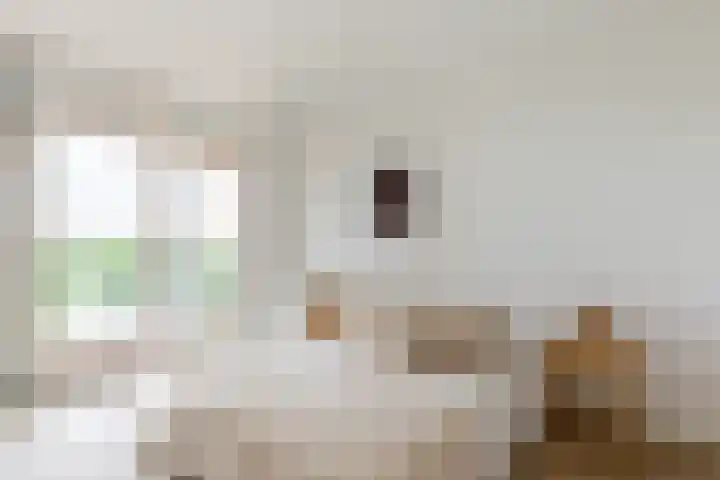 Claus Sluterweg 273 Haarlem thumbnail 18