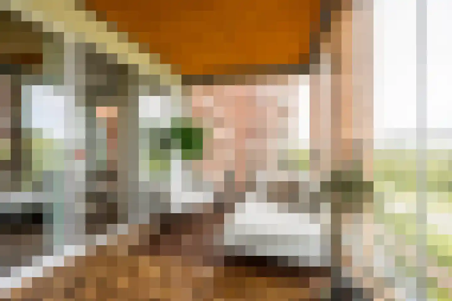 Claus Sluterweg 273 Haarlem thumbnail 19