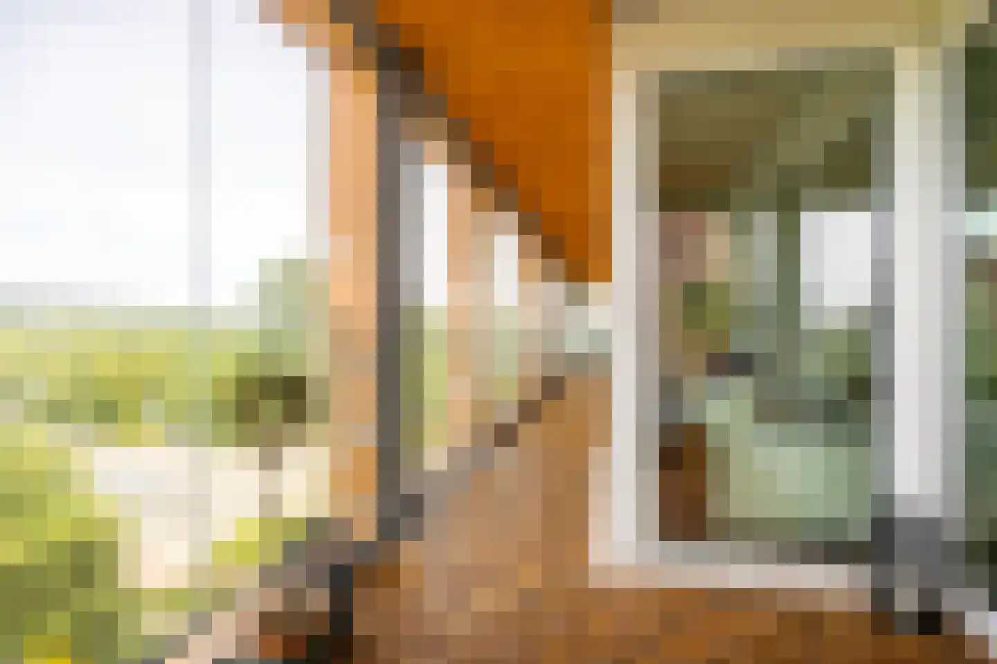 Claus Sluterweg 273 Haarlem thumbnail 20