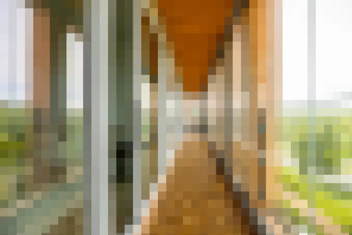 Claus Sluterweg 273 Haarlem thumbnail 21