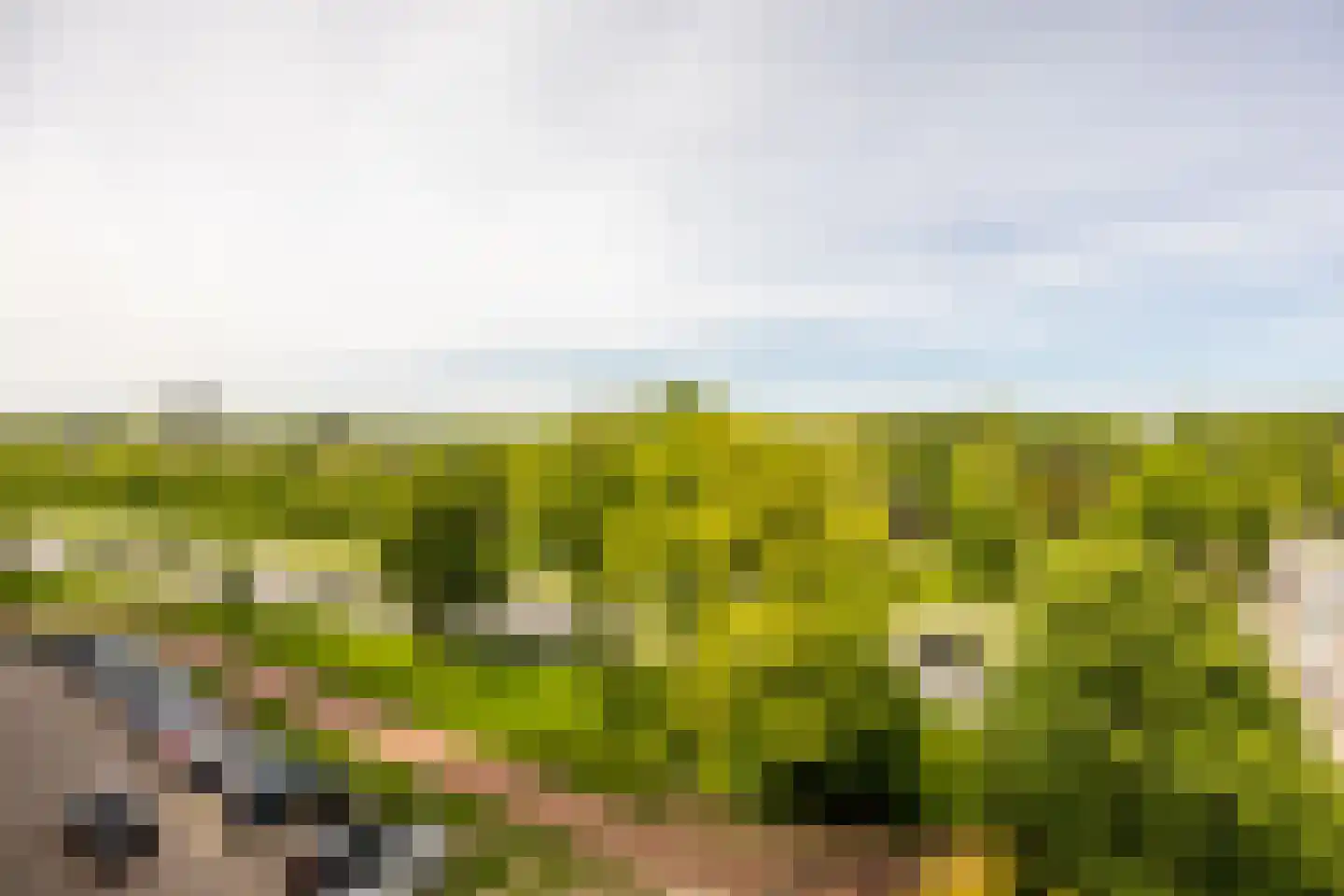 Claus Sluterweg 273 Haarlem thumbnail 22