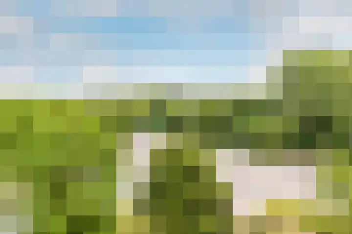Claus Sluterweg 273 Haarlem thumbnail 24