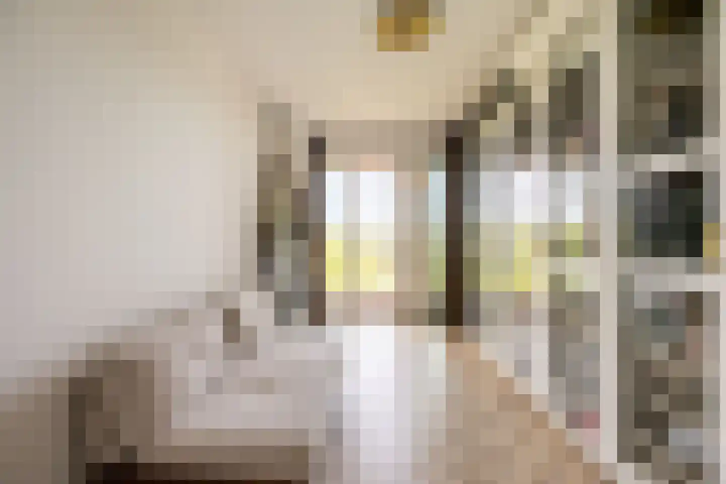 Claus Sluterweg 273 Haarlem thumbnail 24