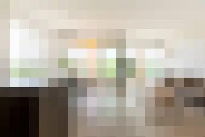 Claus Sluterweg 273 Haarlem thumbnail 8