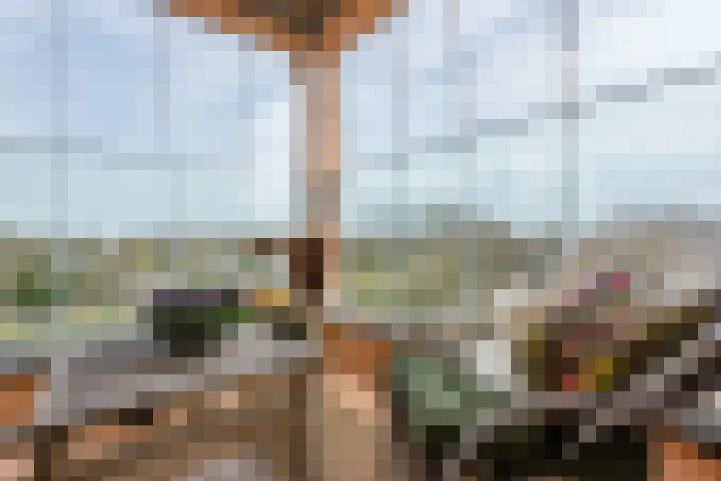 Claus Sluterweg 279 Haarlem thumbnail 25