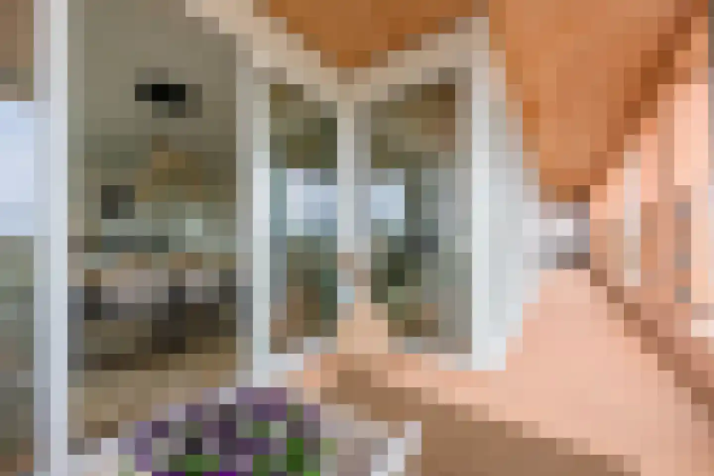 Claus Sluterweg 279 Haarlem thumbnail 26