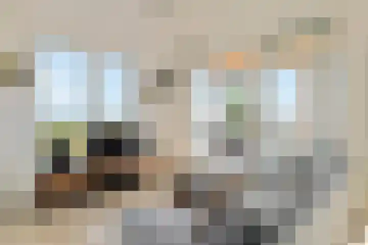 Claus Sluterweg 287 Haarlem thumbnail 11