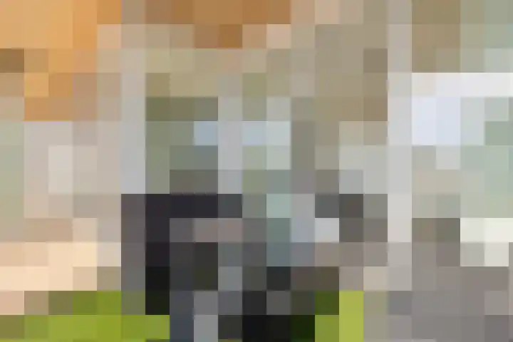 Claus Sluterweg 287 Haarlem thumbnail 18