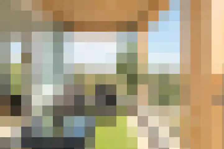 Claus Sluterweg 287 Haarlem thumbnail 19