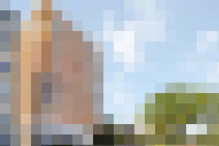 Claus Sluterweg 287 Haarlem thumbnail 7