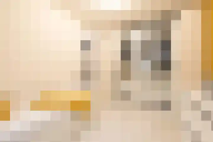 Claus van Amsbergstraat 45 Amsterdam thumbnail 20