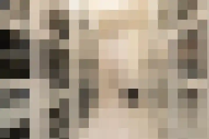 Claus van Amsbergstraat 45 Amsterdam thumbnail 22