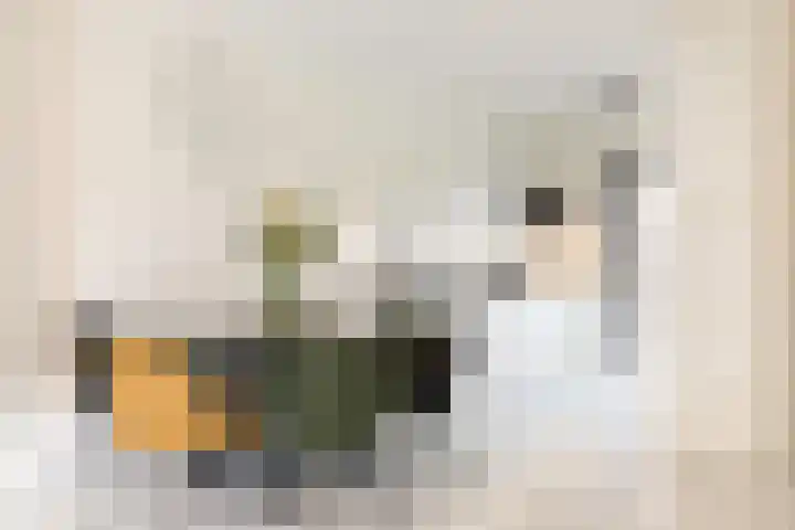 Claus van Amsbergstraat 45 Amsterdam thumbnail 9