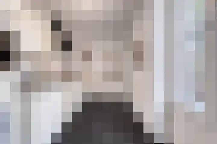 Claushof 14 Huissen thumbnail 11