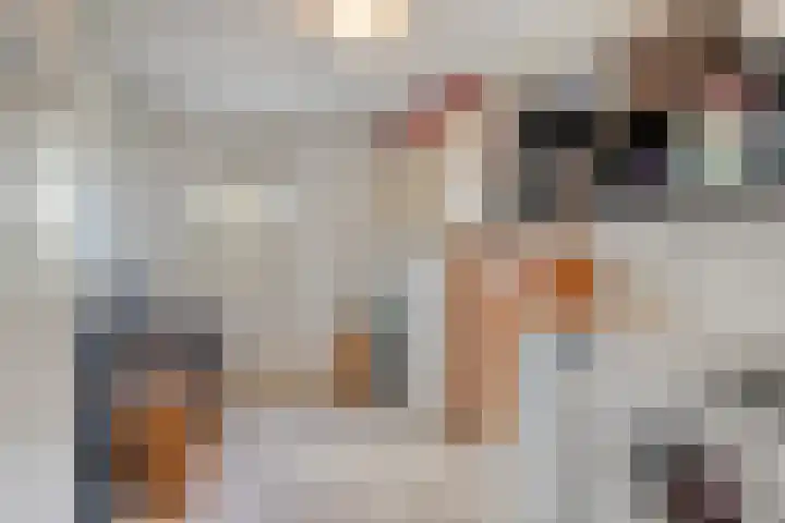 Claushof 14 Huissen thumbnail 14