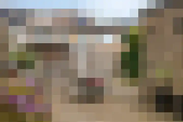 Claushof 14 Huissen thumbnail 16