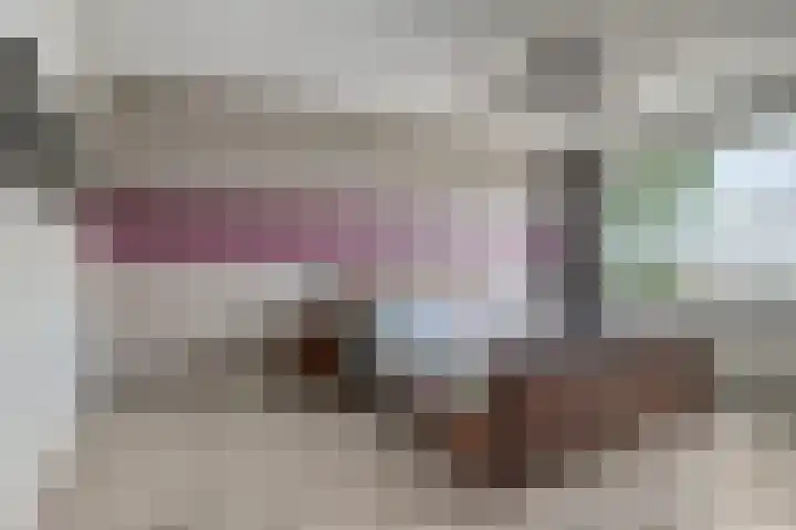 Claushof 14 Huissen thumbnail 19