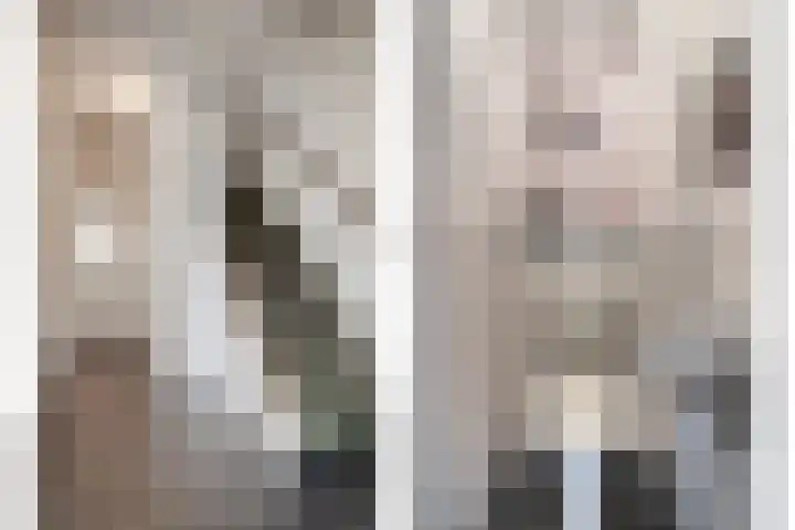 Claushof 14 Huissen thumbnail 5