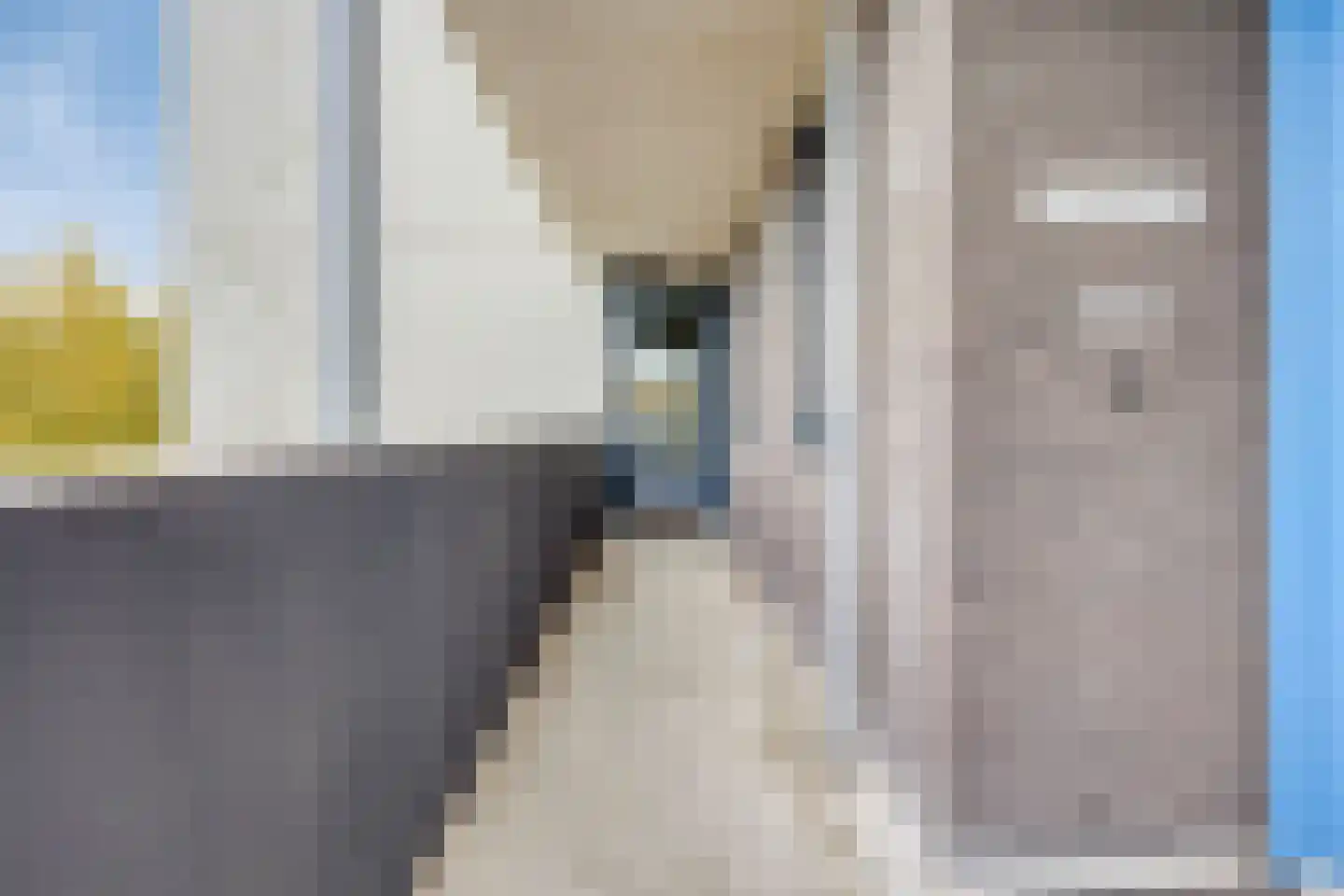 Claushof 21 Goes thumbnail 11