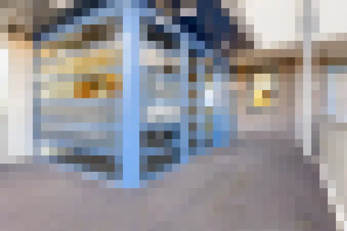 Claushof 21 Goes thumbnail 8
