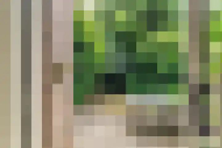 Clausholm 23 Hoofddorp thumbnail 17