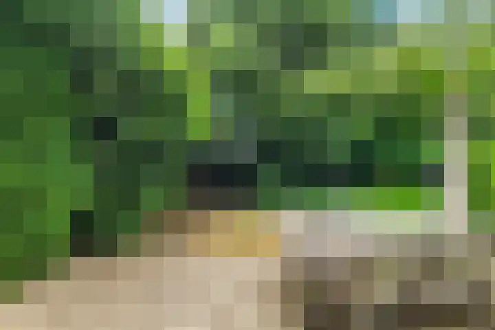 Clausholm 23 Hoofddorp thumbnail 18