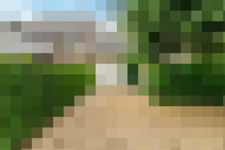 Clausholm 23 Hoofddorp thumbnail 36