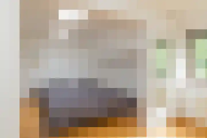 Clausholm 25 Hoofddorp thumbnail 24