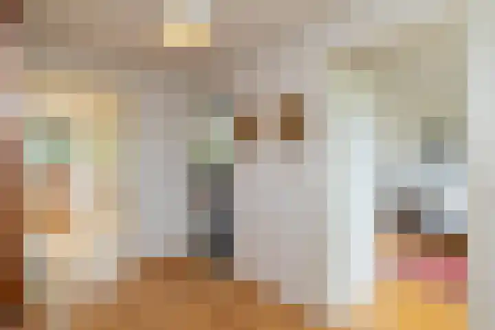 Clausholm 25 Hoofddorp thumbnail 26
