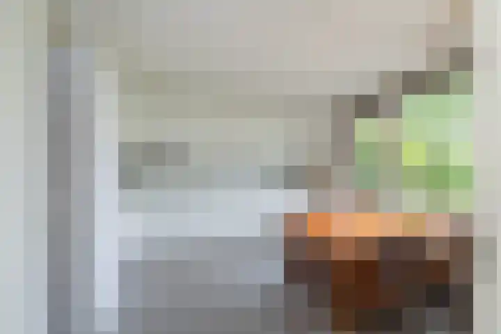 Clausholm 25 Hoofddorp thumbnail 4