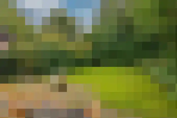 Clausholm 25 Hoofddorp thumbnail 40