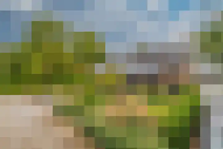 Clausholm 25 Hoofddorp thumbnail 42
