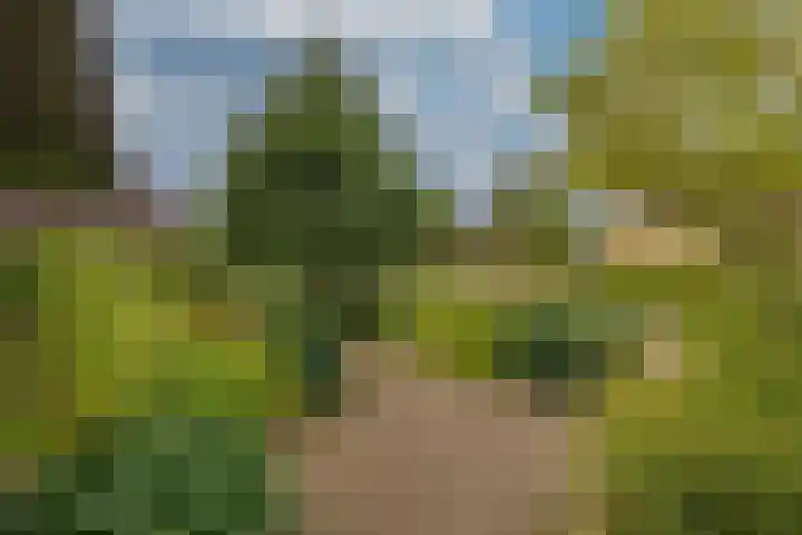 Clausholm 25 Hoofddorp thumbnail 8