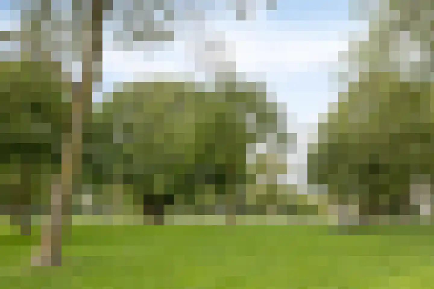 Clauskindereweg 135 Amsterdam thumbnail 23
