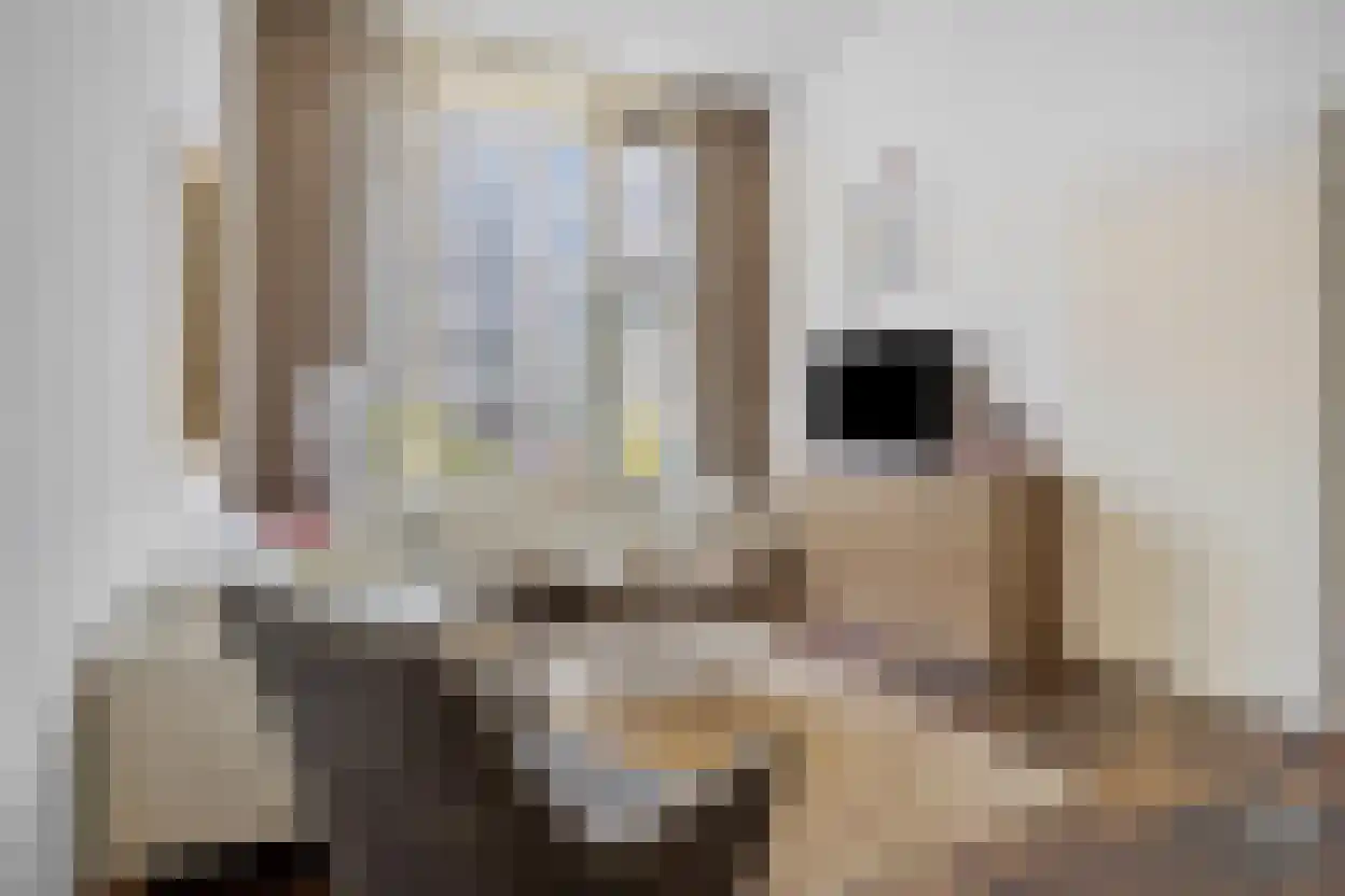 Clauskindereweg 33 Amsterdam thumbnail 4
