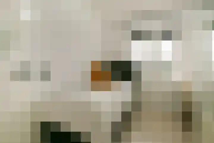 Clauskindereweg 71 Amsterdam thumbnail 10