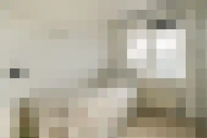 Clauskindereweg 71 Amsterdam thumbnail 12