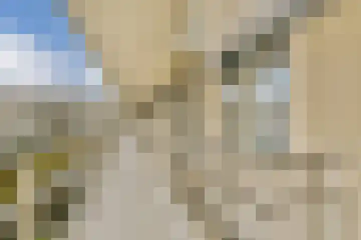 Clauskindereweg 71 Amsterdam thumbnail 15