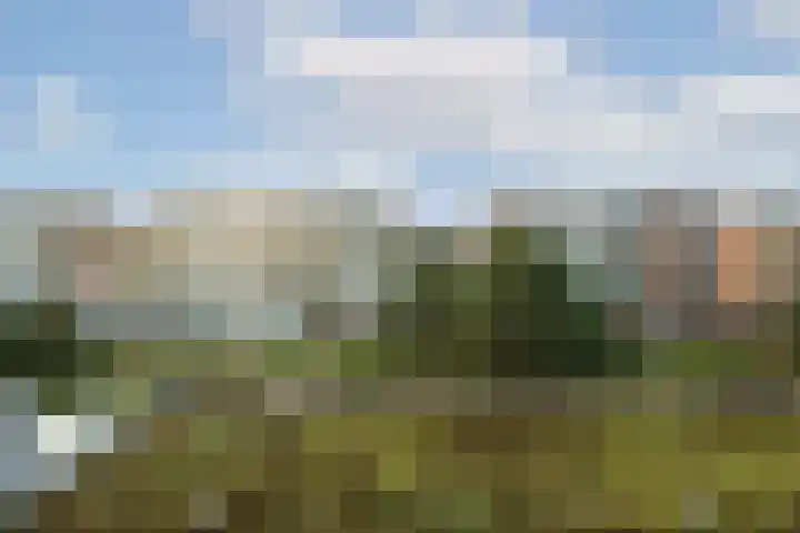 Clauskindereweg 71 Amsterdam thumbnail 16