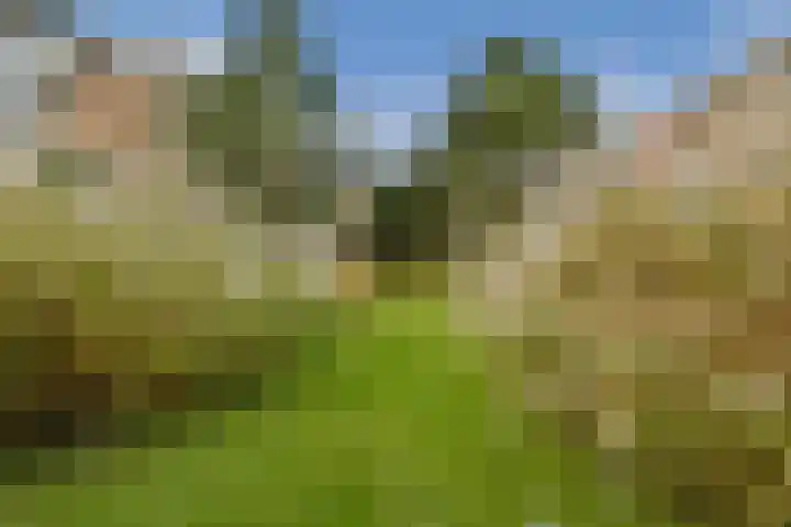 Clauskindereweg 71 Amsterdam thumbnail 18