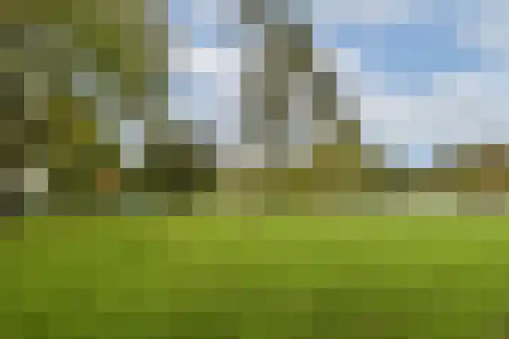 Clauskindereweg 71 Amsterdam thumbnail 19