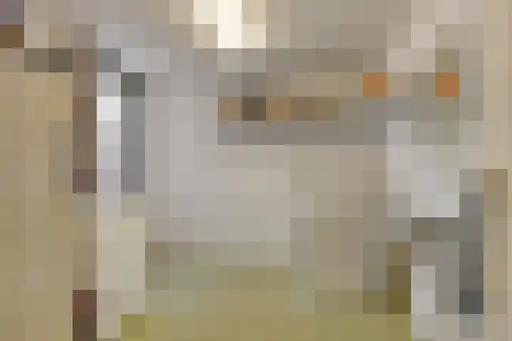 Clauslaan 10 Soest thumbnail 12