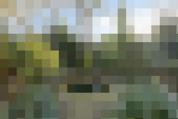 Clauslaan 10 Soest thumbnail 31