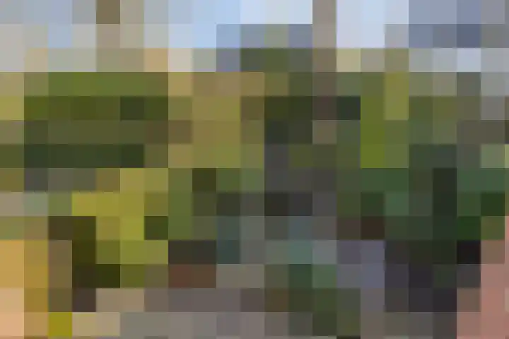 Clauslaan 10 Soest thumbnail 32