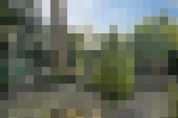 Clauslaan 10 Soest thumbnail 33